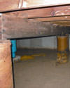 Mold and rot thriving in a dirt floor crawl space in Little Rock