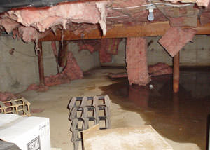 Fiberglass dripping off of the ceilings of a Alexander crawl space
