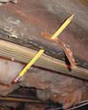 Rotting Wood in the Basement