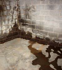 Water seeping through a concrete wall in a Casa basement