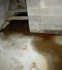Flooding floor cracks by a hatchway door in Sherwood