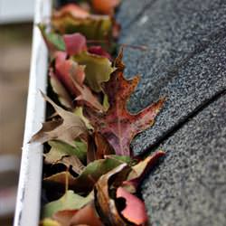 Clogged gutters filled with fall leaves  in North Little Rock